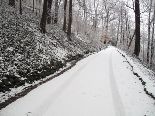 snowy_trail