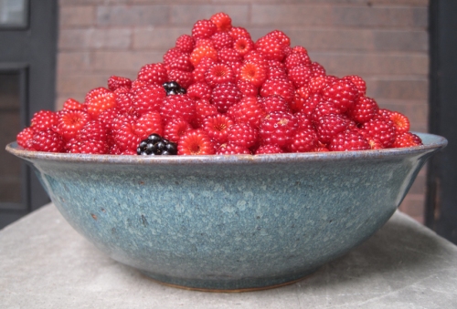 berries_72